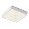 Kép HUE SQ 22 mennyezeti lámpa fehér 230V LED 24W 3000K