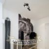 Kép BOGARD II fali lámpa matt fekete  230V LED 2x5W 40°  3000K