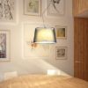 Kép ESPLANADE függő lámpa átlátszó fekete/fehér króm 230V LED E27 15W