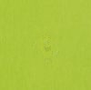 RON 55/30 lámpabúra  Chintz lime/fehér PVC  max. 23W