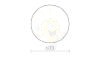 DIFFUSER R 60 PMMA   tej akril 