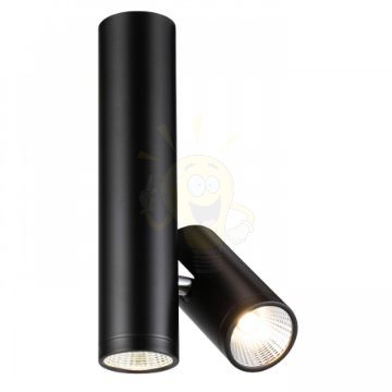 BOGARD TWIN mennyezeti lámpa matt fekete  230V LED 2x5W 40°  3000K